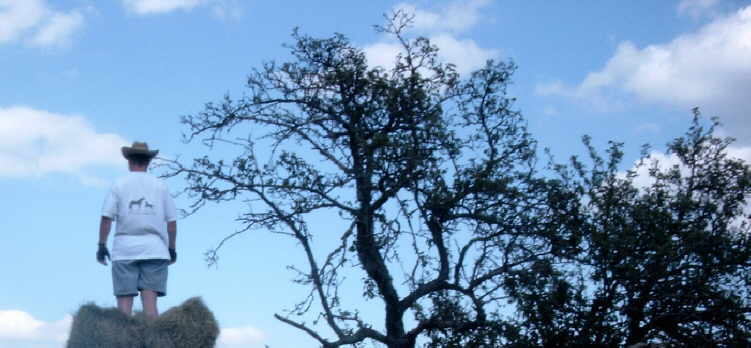 Da tauchen hoch �ber den Wolken unerschrockene K�mpfer auf, ...